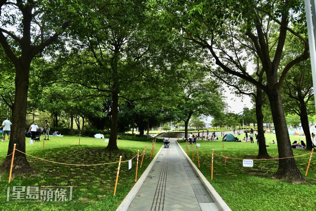 添馬公園的紫玲花木園亦離不開維港。資料圖片 添馬公園的紫玲花木園亦離不開維港。資料圖片