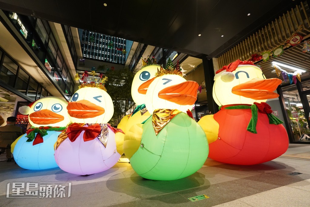 「小黃鴨」跨媒體展覧今天中環街市揭幕。葉健豪攝 「小黃鴨」跨媒體展覧今天中環街市揭幕。葉健豪攝