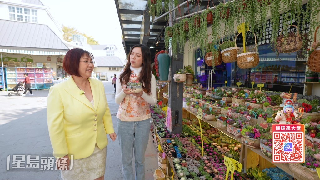 若家宅窗戶面向天橋或馬路等煞氣較重的地方，則可考慮擺放仙人掌帶刺植物以作化解。