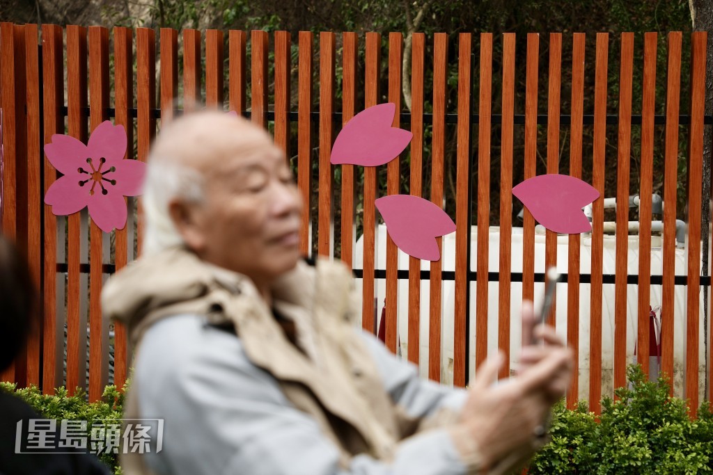 參觀市民舉機打卡及自拍。蘇正謙攝