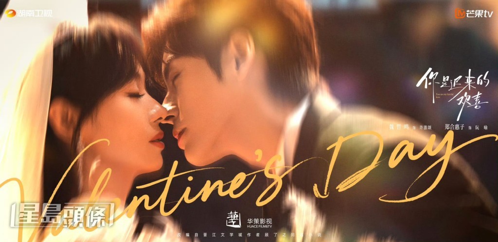 《你是迟来的欢喜》由魏哲鸣以及郑合惠子主演。