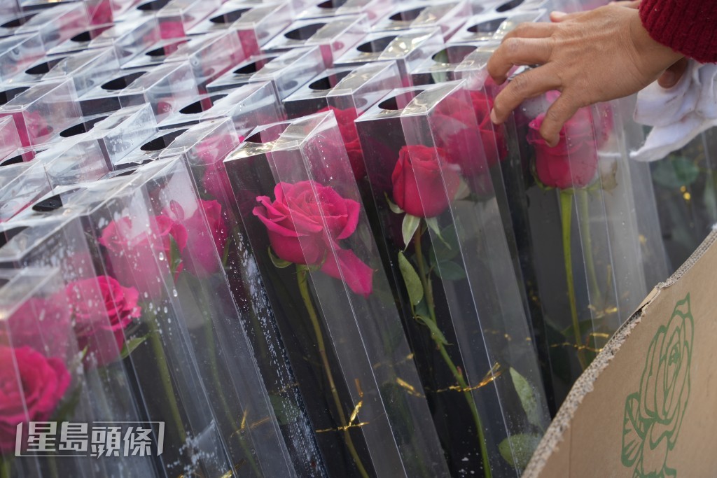 情人節，一束花必不可少。吳艷玲攝