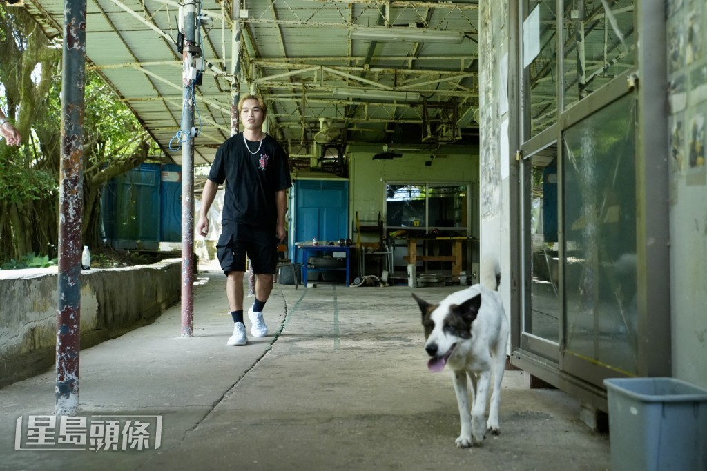 劉先生順道照料校園內幾隻狗，「在這裡住的五年，（狗隻）都是我養的。」