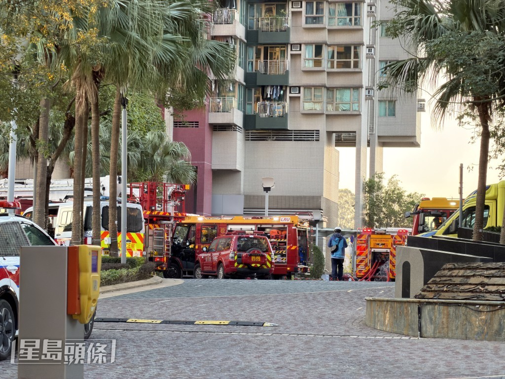 消防到場將火救熄。