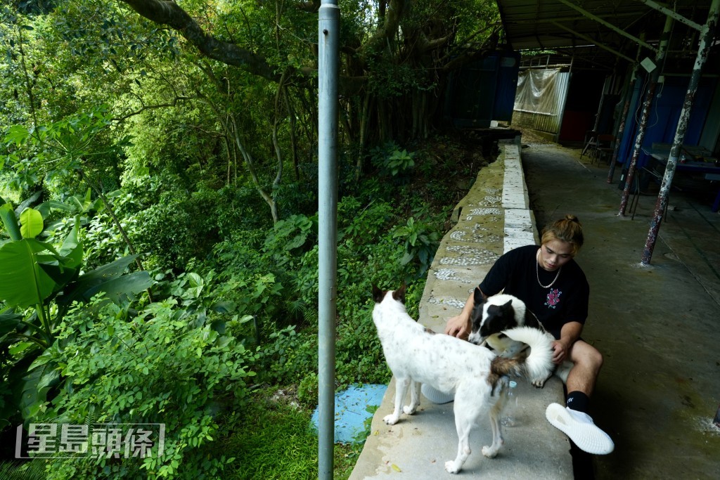 劉先生順道照料校園內幾隻狗，「在這裡住的五年，（狗隻）都是我養的。」