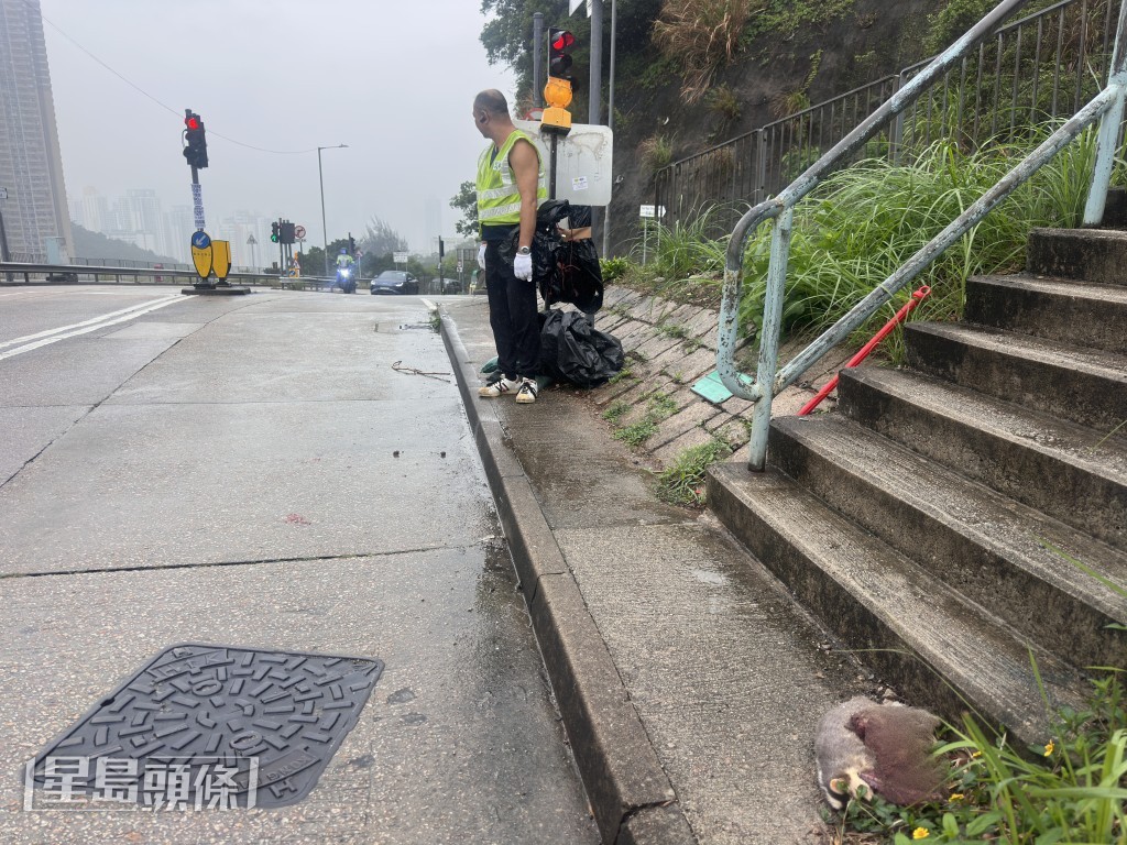 食環署人員將果子狸屍體檢走。梁國峰攝