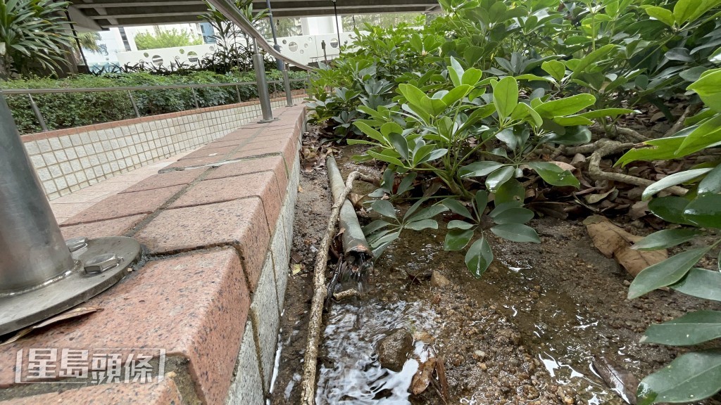 愛秩序灣遊樂場發生偷銅管案。楊偉亨攝 愛秩序灣遊樂場發生偷銅管案。楊偉亨攝
