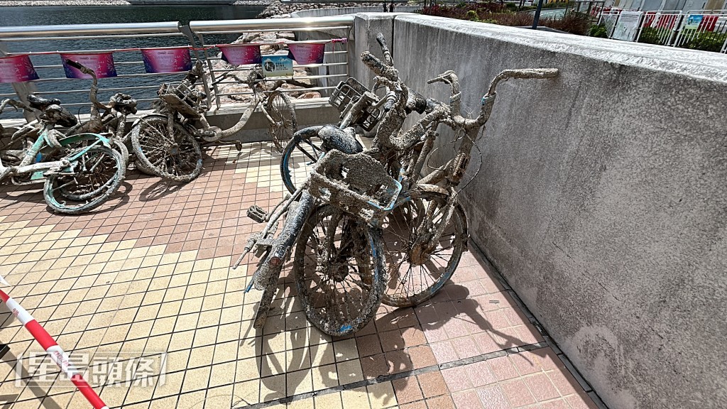 吊上岸的單車滿佈泥濘。 林思明攝
