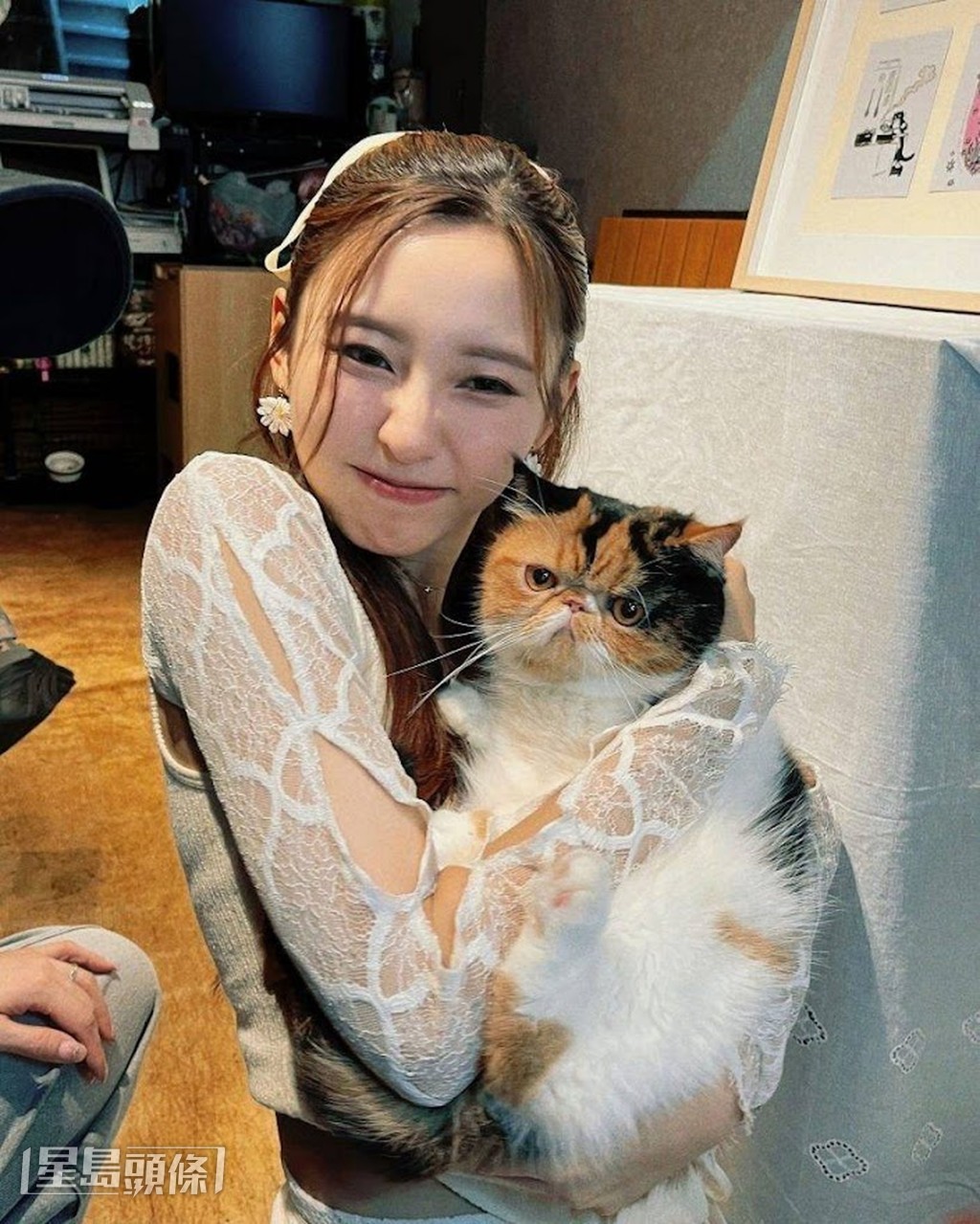  爱猫之人Ivy填词时，亦会从猫猫的身上找灵感。