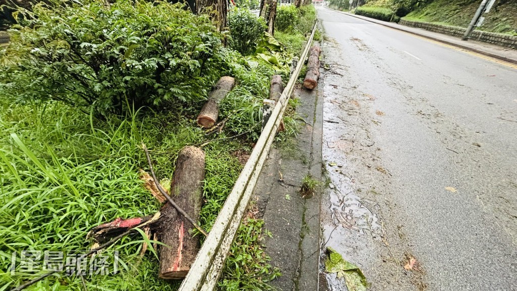 蔡楚輝攝 蔡楚輝攝