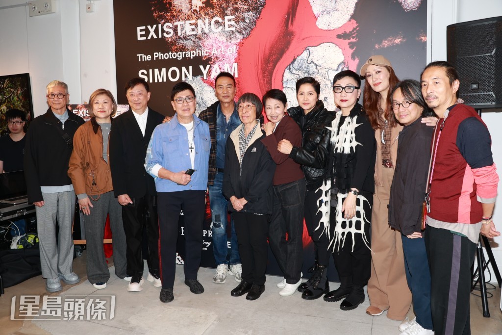 琦琦、邵美琪、劉天蘭、陳善之等到場撐任達華。