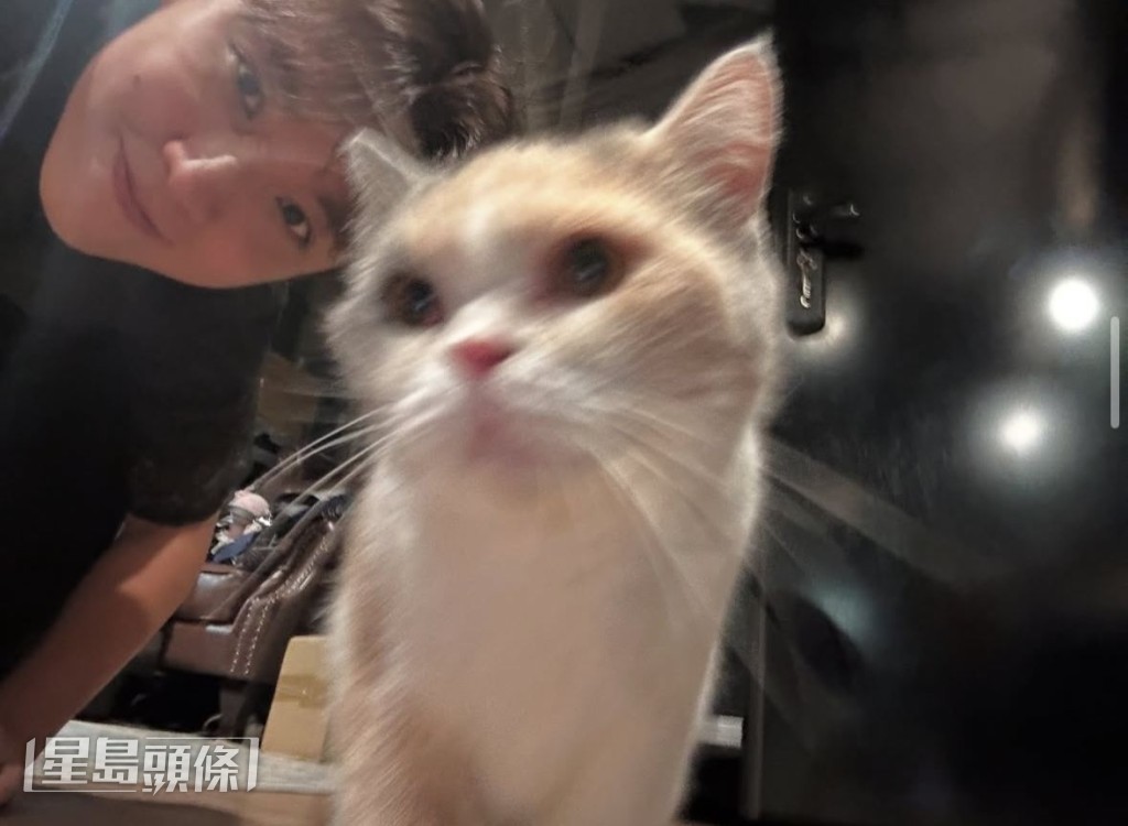 他亦希望這個騷可反映自己不同面向。