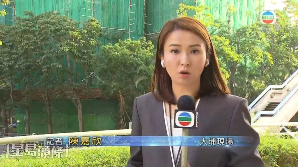 陳嘉欣的專業表現受到廣大網民讚賞。