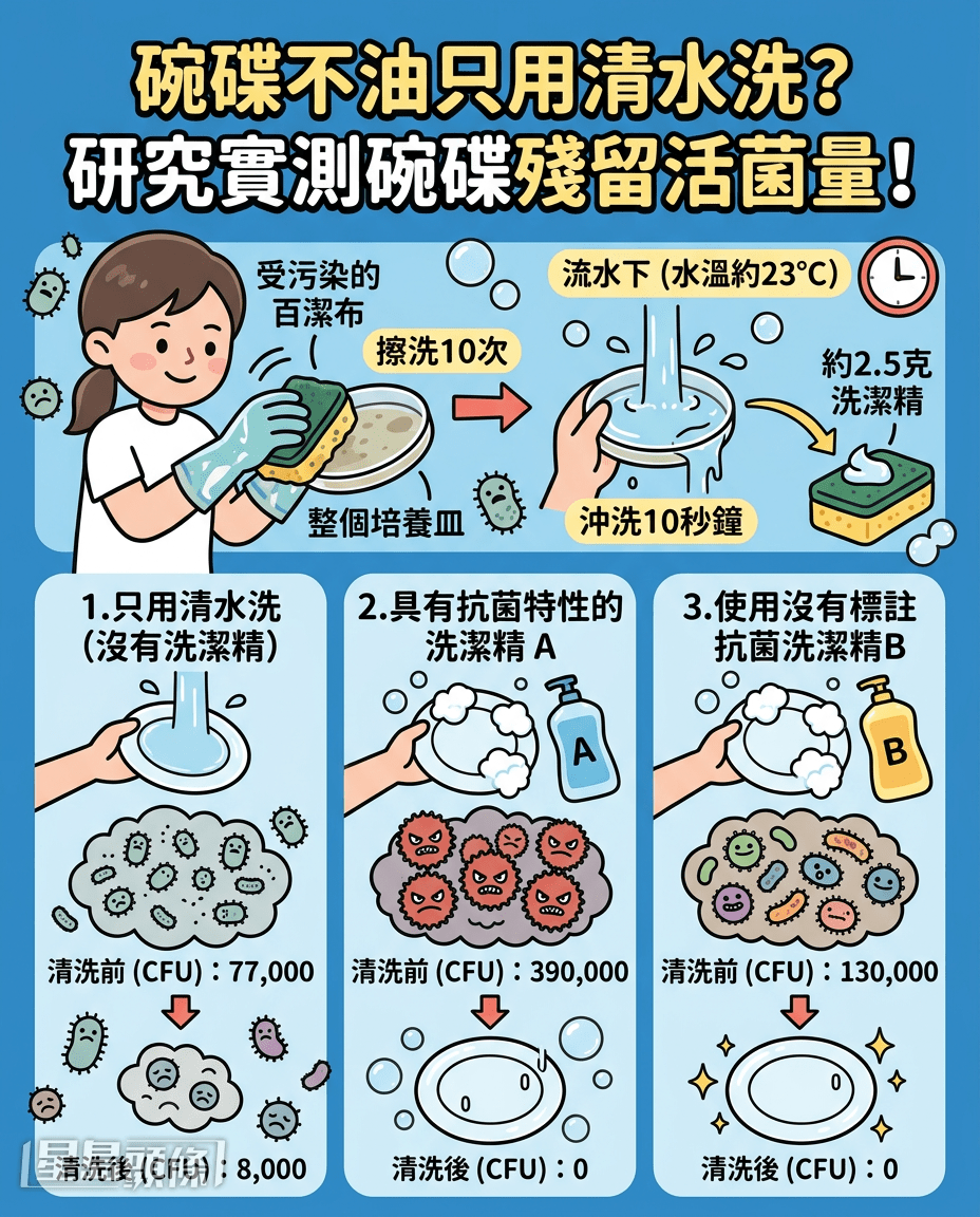 碗碟不油只用清水洗？ 研究實測碗碟殘留活菌量！