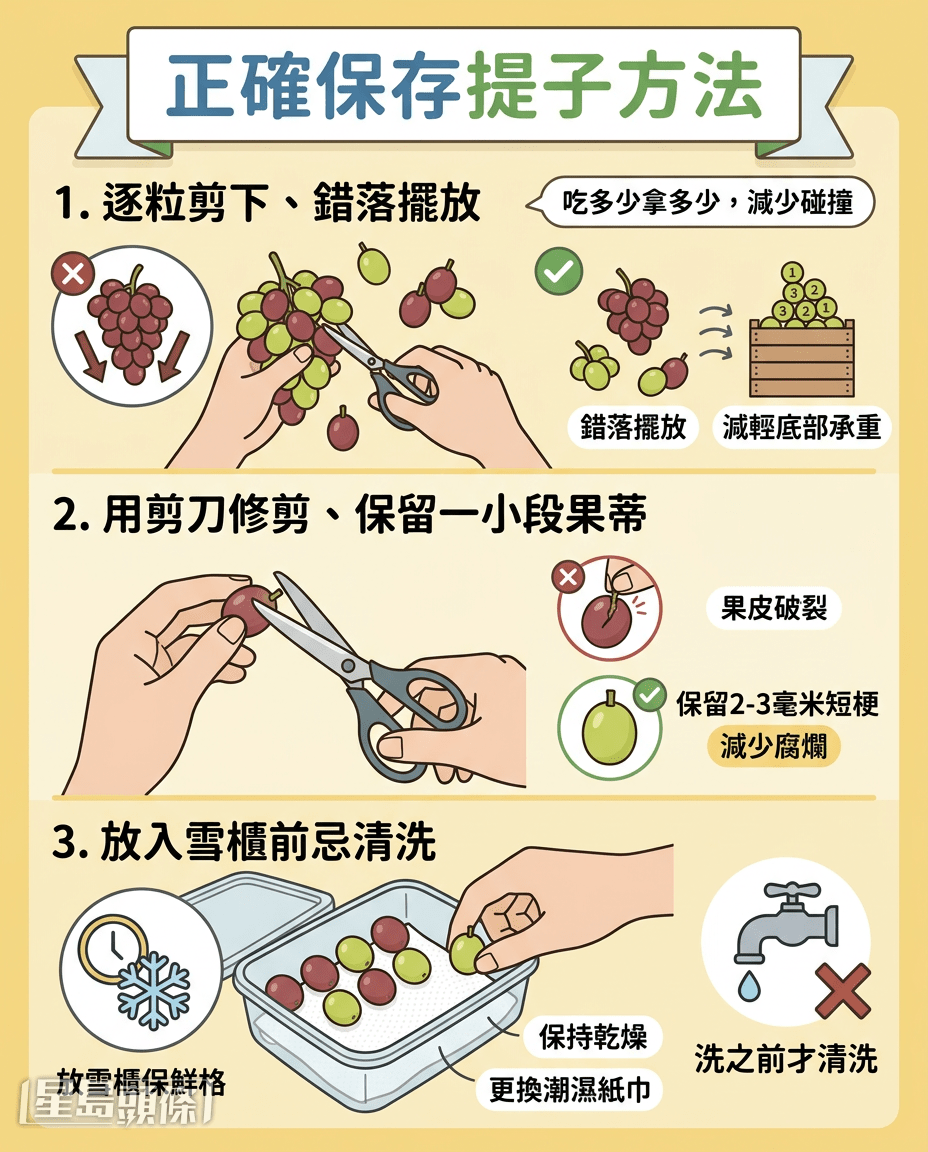 正確保存提子方法 正確保存提子方法