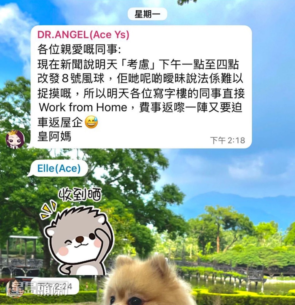 唐安麒在星期一下午已叫寫字樓員工WFH，晚上更叫前線休息2天。