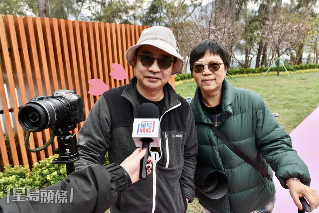 洪氏夫婦表示，日本的櫻花品種更多，氛圍較好，不過這個園區的櫻花是一個好開始，認為是全港最美的櫻花。盧江球攝