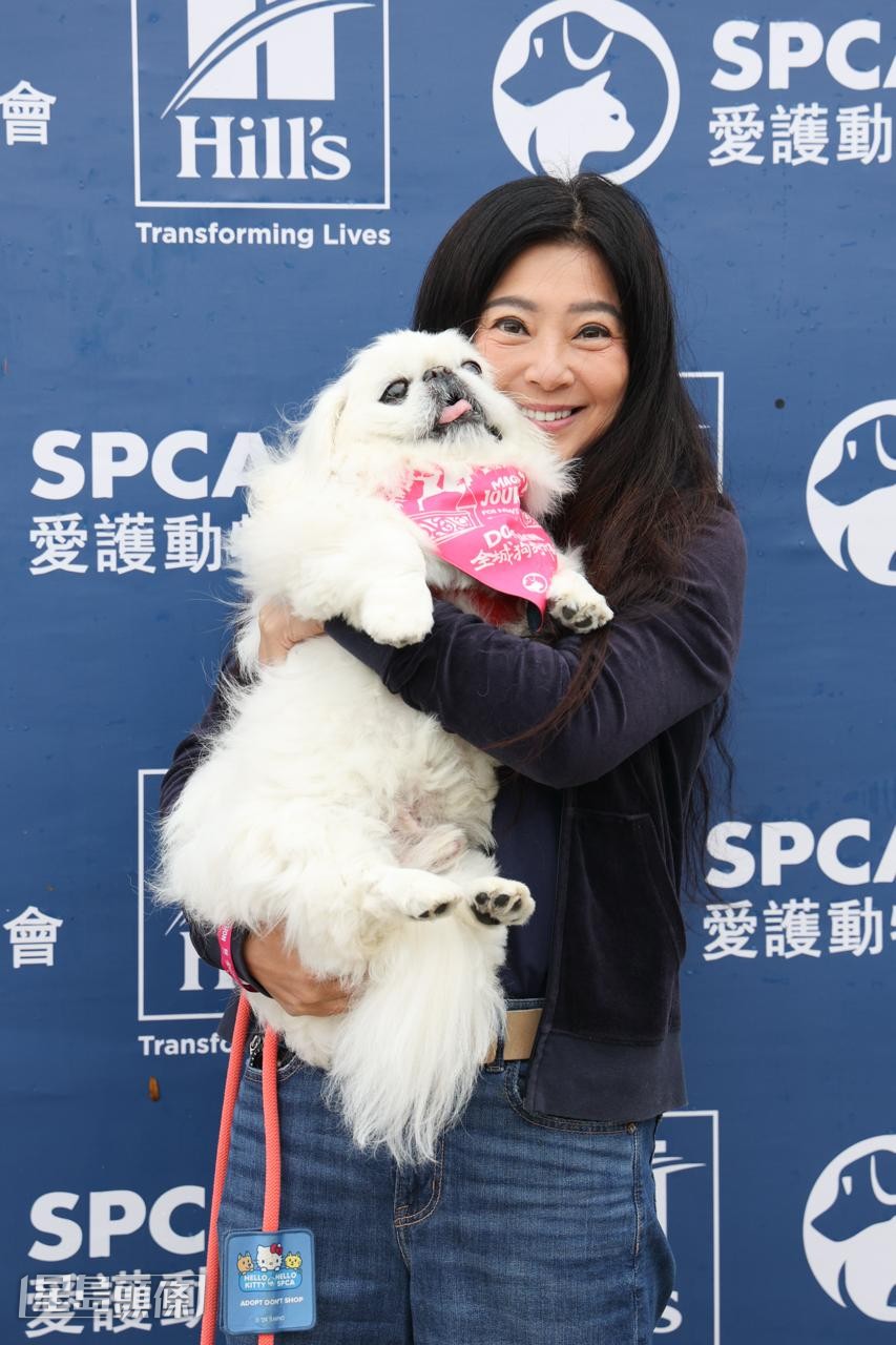 更表示自己連續參與了十多次。