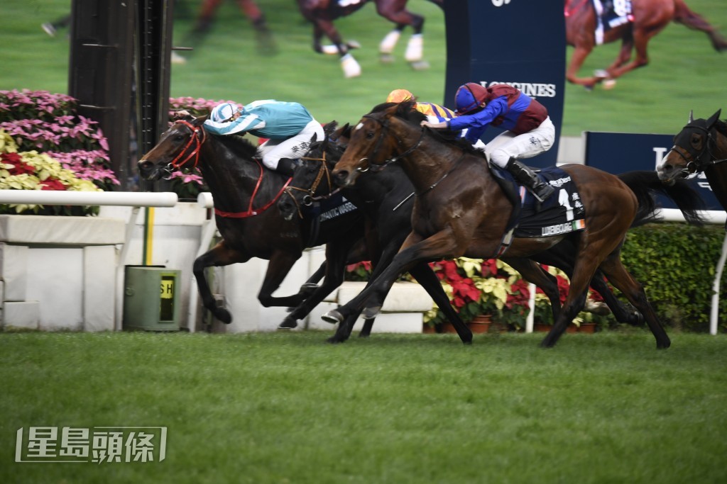 「卢森堡」(外)在应届香港杯，仅以短距离不敌「浪漫勇士」(内)跑第二。
