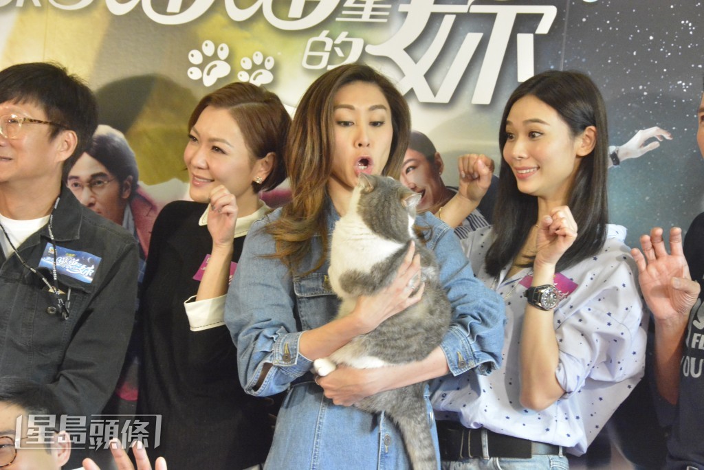 二人曾合作《來自喵喵星的妳》。