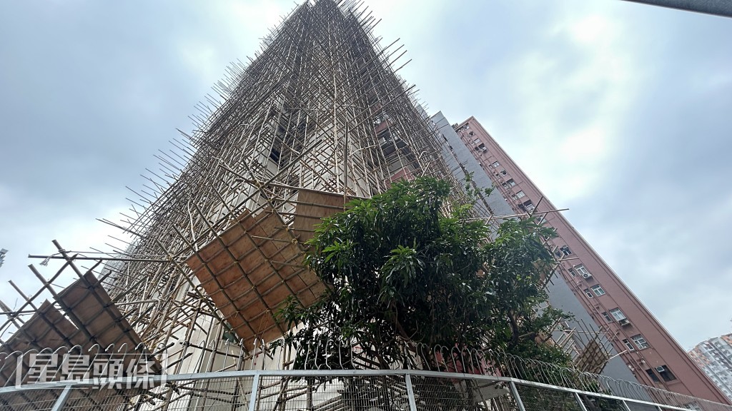信用街2號一幢大廈正在維修中。蔡楚輝攝