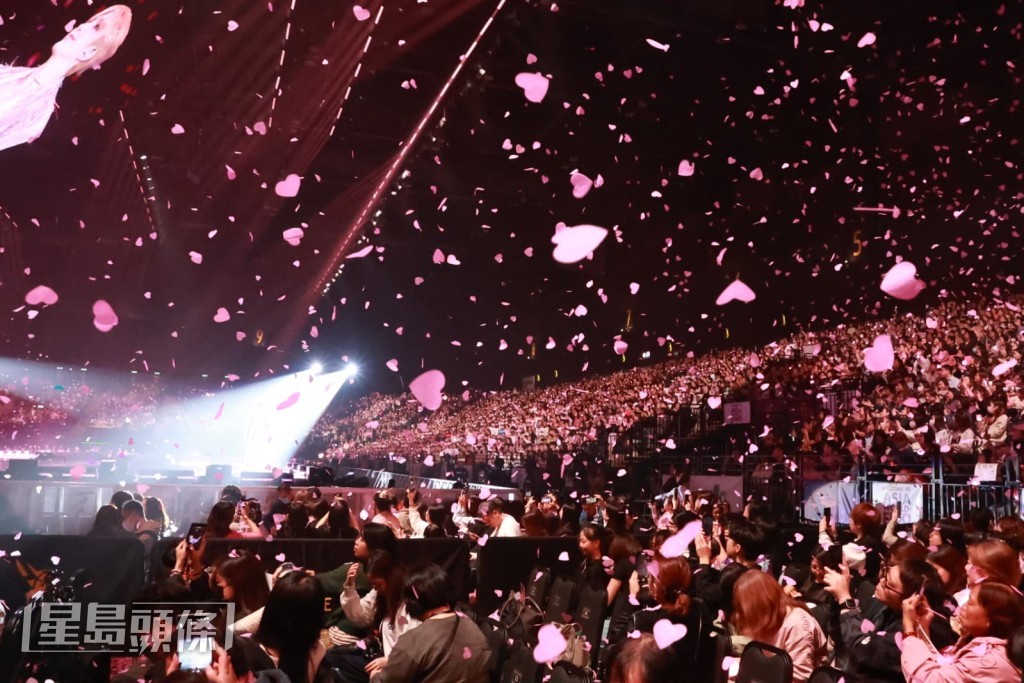 現場一遍粉紅海。