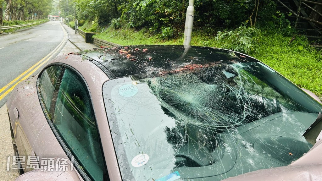 西貢清水灣道冧巨大樹枝 保時捷跑車遭砸中損毀嚴重。蔡楚輝攝 西貢清水灣道冧巨大樹枝 保時捷跑車遭砸中損毀嚴重。蔡楚輝攝