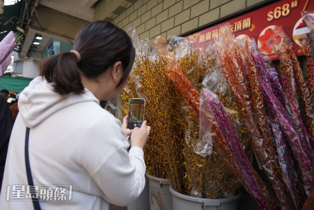 市民到花墟選購鮮花。吳艷玲攝