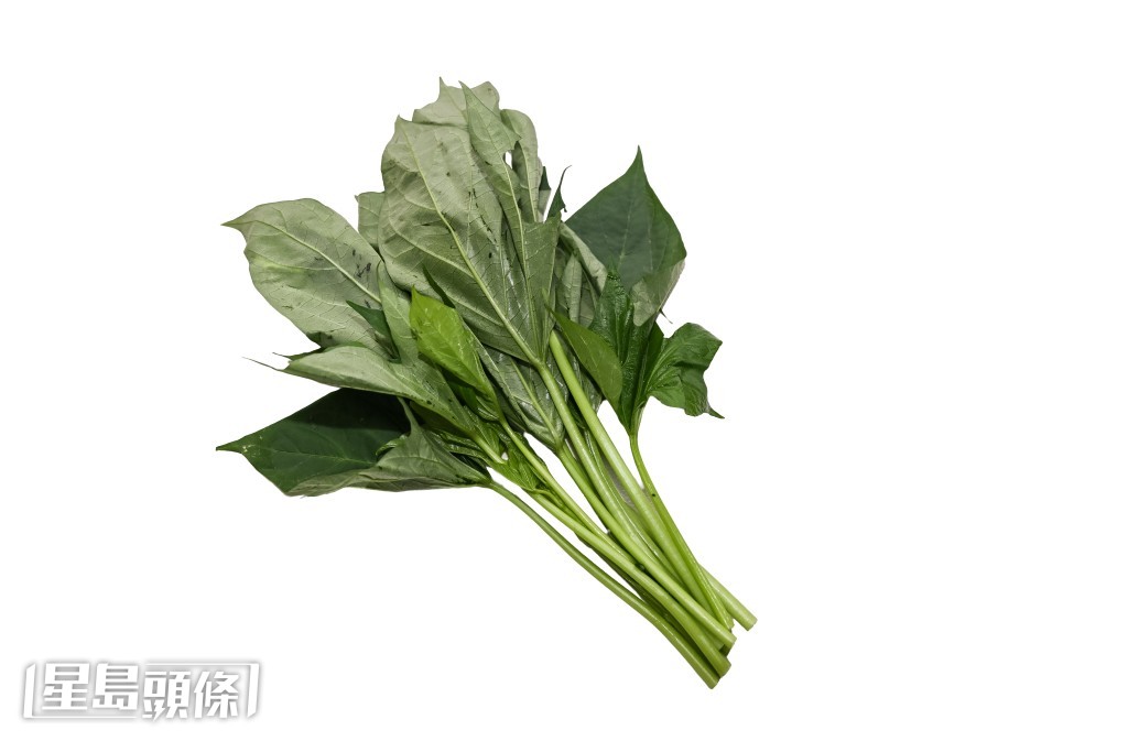 番薯苗 番薯苗