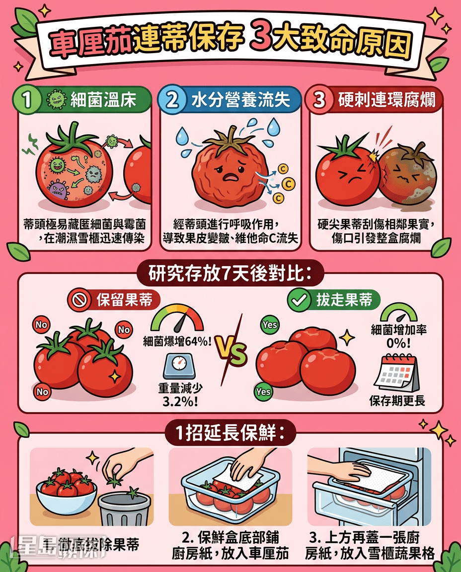 須拔走車厘茄蒂保存的原因/1招延長保鮮