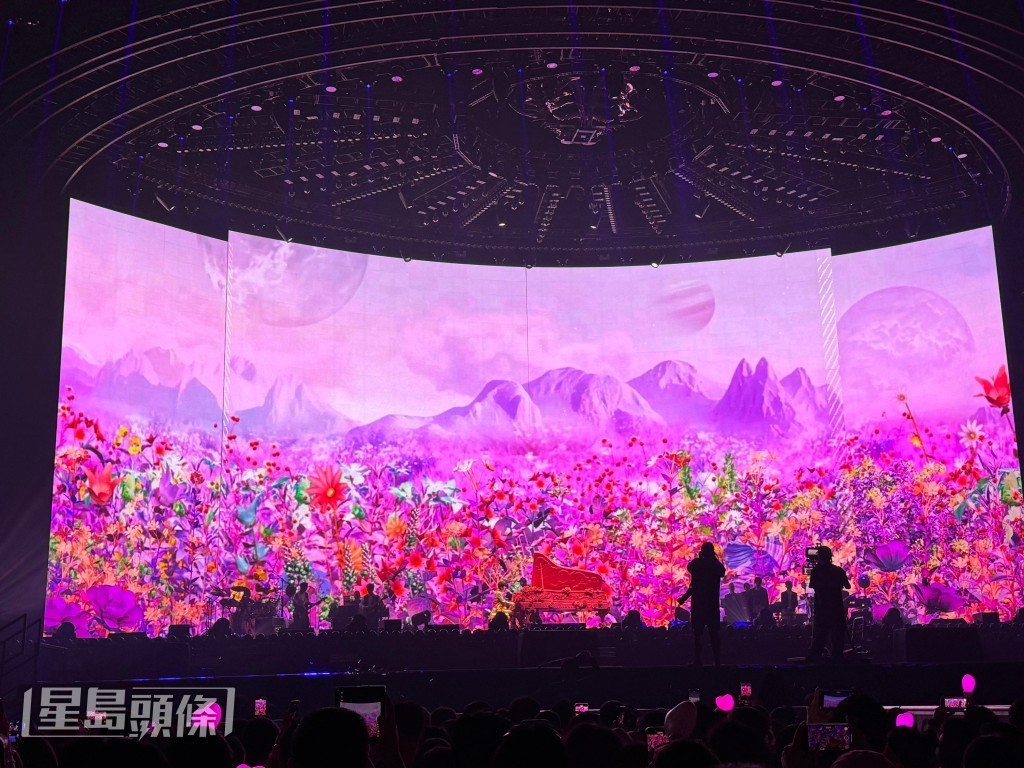 螢幕一遍花海,好靚! 螢幕一遍花海,好靚!