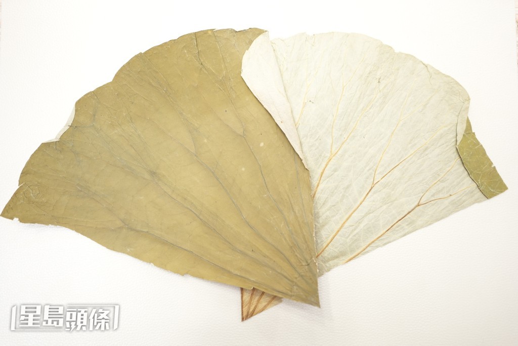 荷葉 荷葉