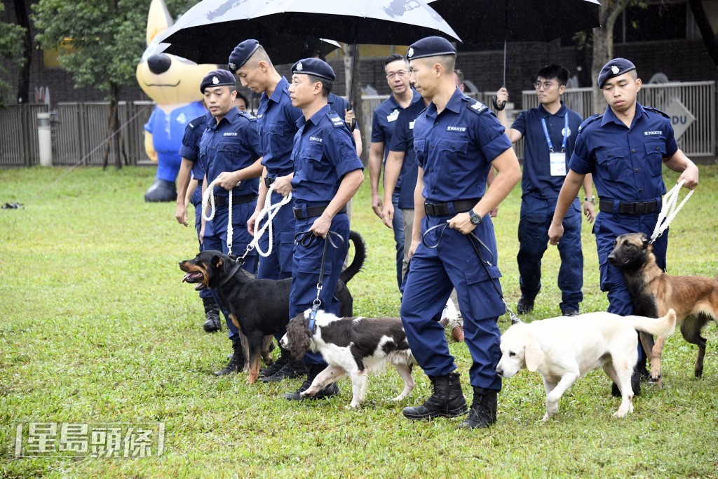  領犬員與警犬是最佳拍檔。楊偉亨攝