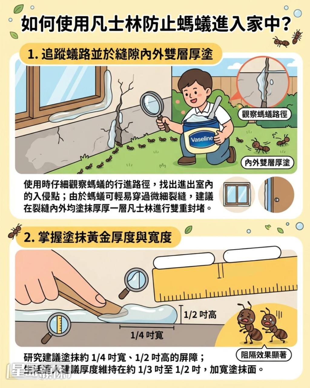 如何使用凡士林防止蚂蚁进入家中? 如何使用凡士林防止蚂蚁进入家中?