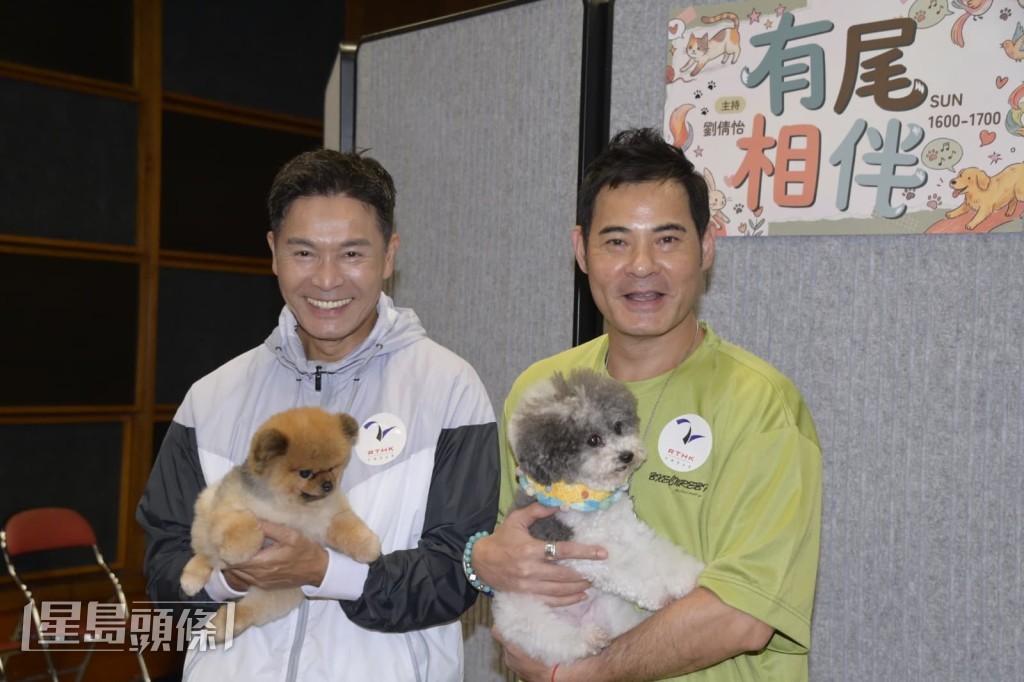 郭晉安、黃智賢出席公開活動。