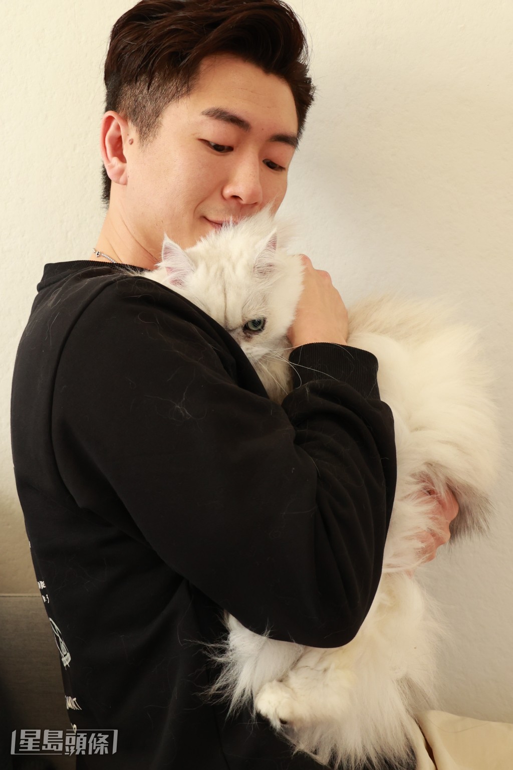 馬貫東望接收更多流浪貓狗,協助他們尋第二個家。 馬貫東望接收更多流浪貓狗,協助他們尋第二個家。