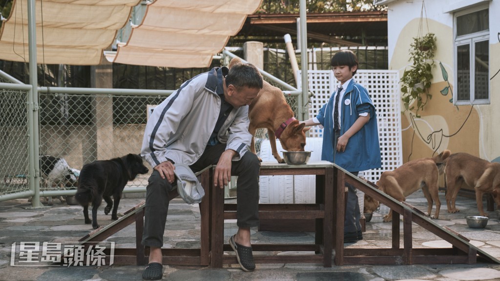 旦哥拍戲時,中暑暈倒,令人擔心。 旦哥拍戲時,中暑暈倒,令人擔心。