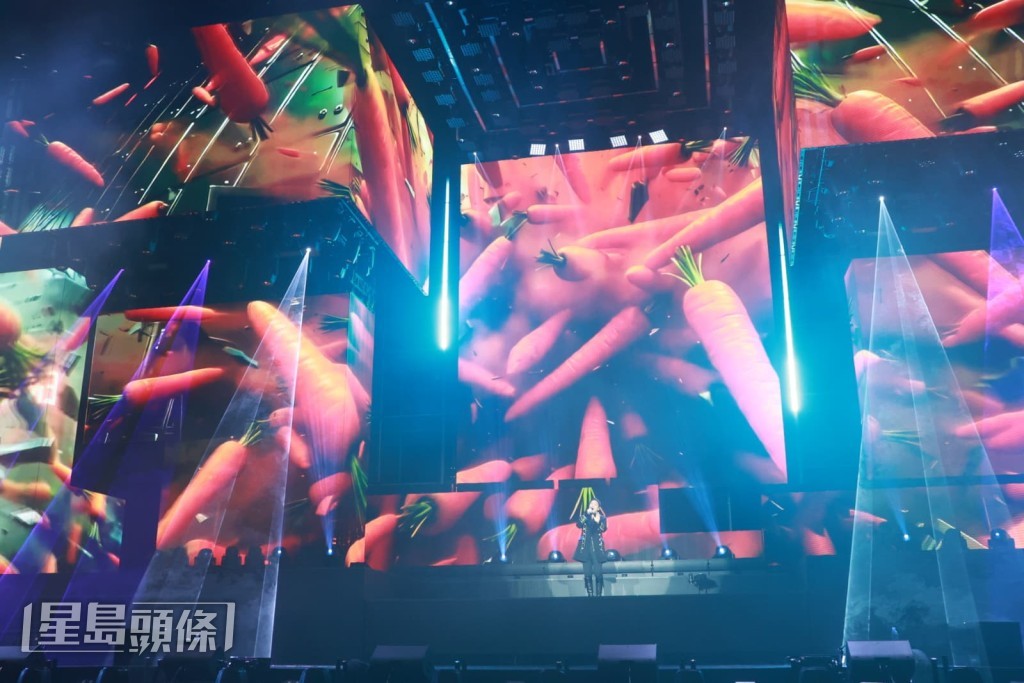 紅蘿蔔在今次演唱會扮演重要角色。 紅蘿蔔在今次演唱會扮演重要角色。