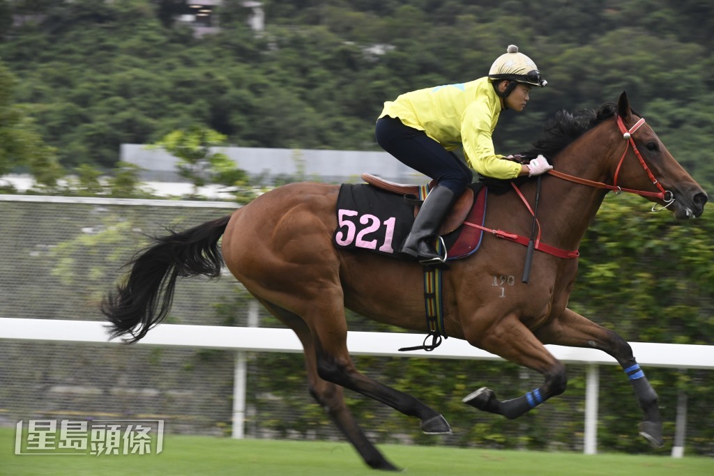 「金鑽八十」明日在港首次出賽。