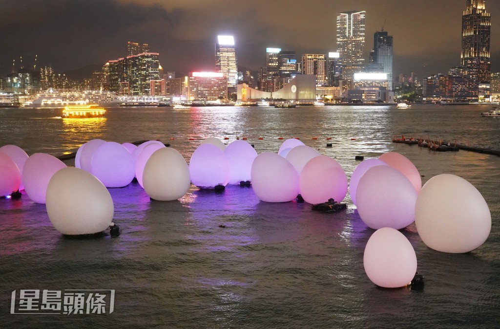 發光蛋在維港飄浮。