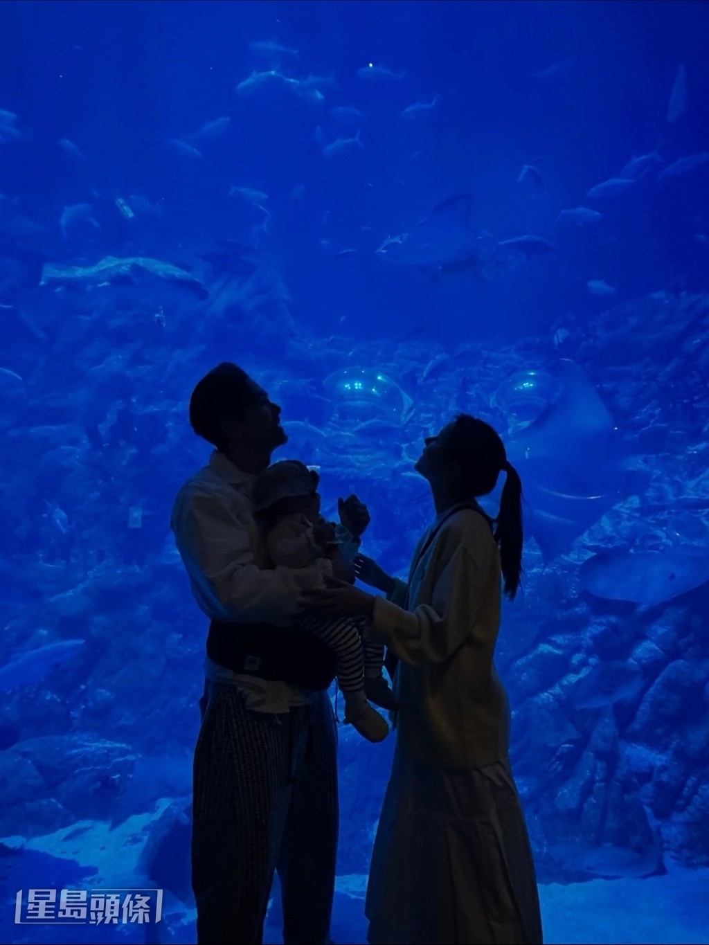 翠如表示早前帶兒子來公園後,見完動物回到家也會開心地笑。 翠如表示早前帶兒子來公園後,見完動物回到家也會開心地笑。