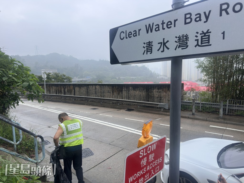 清水灣道發現果子狸屍體。梁國峰攝