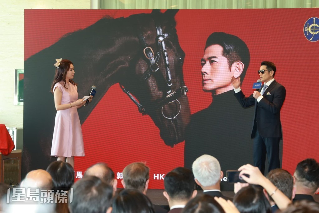 但未必會再與愛駒合作，因為牠仍有出賽。