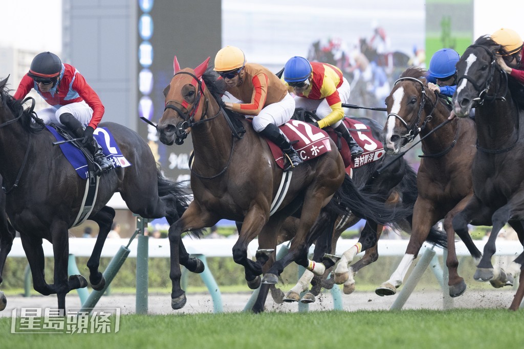 何澤堯及其坐騎「碩果盈枝」(12號) 在札幌競馬場的世界星級騎師大賽最後一關賽事中跑第四名。 何澤堯及其坐騎「碩果盈枝」(12號) 在札幌競馬場的世界星級騎師大賽最後一關賽事中跑第四名。