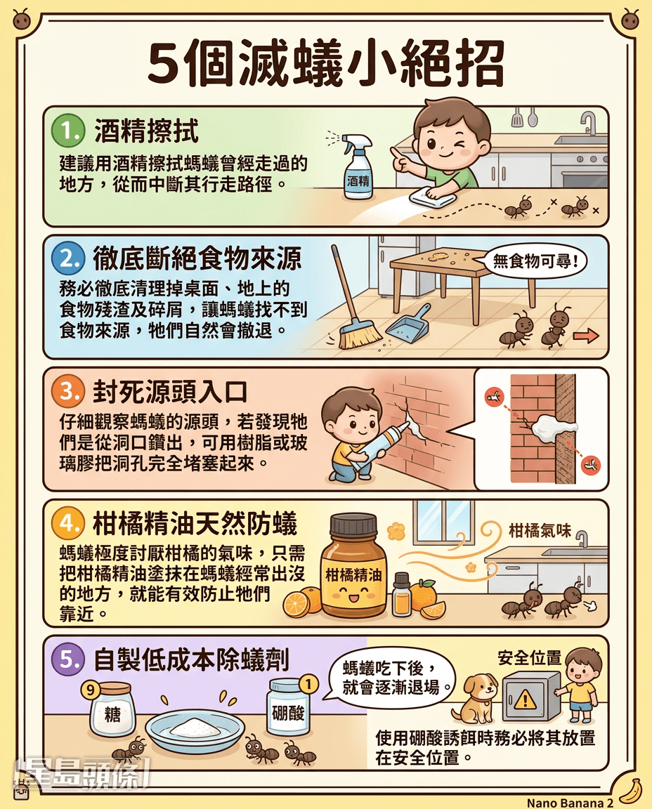 5个灭蚁小绝招