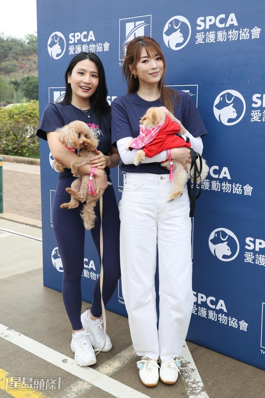 问到养宠物家中小朋友可有呷醋？Coffee表示儿子没有呷醋。