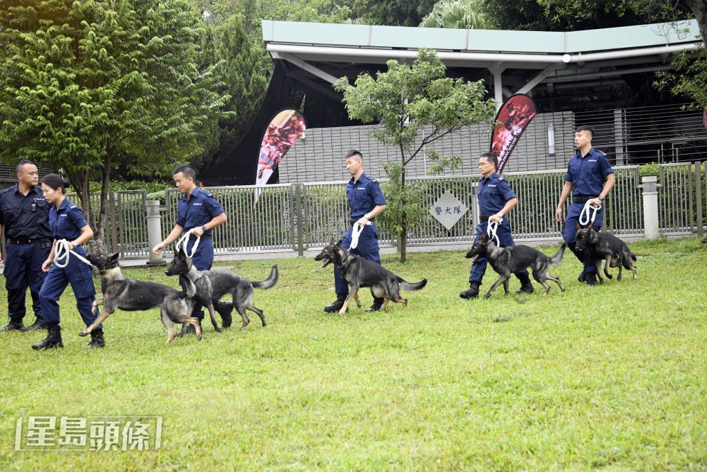 領犬員帶同警犬登場。楊偉亨攝