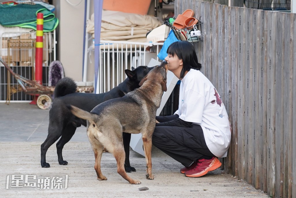 Amy在《得寵先生》飾演的動物義工「悅娜」。