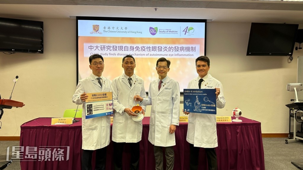 中大医学院研究团队发现诱发自身免疫性葡萄膜炎的路径GHRH，现时已有已注册药物可抑制路径。谢晓雅摄