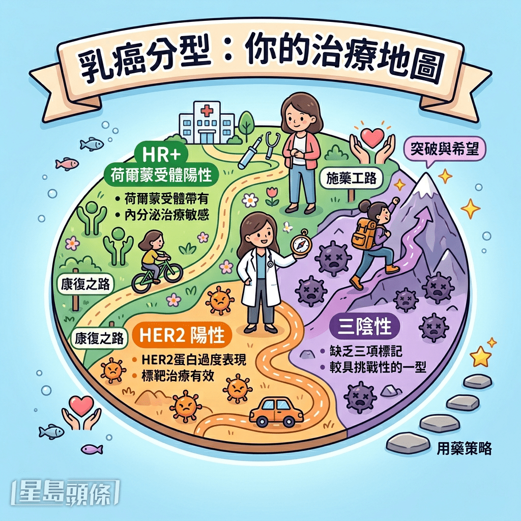 乳癌分型不只是分类 而是治疗地图